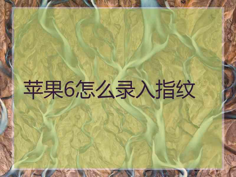 苹果6怎么录入指纹
