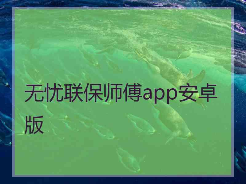 无忧联保师傅app安卓版