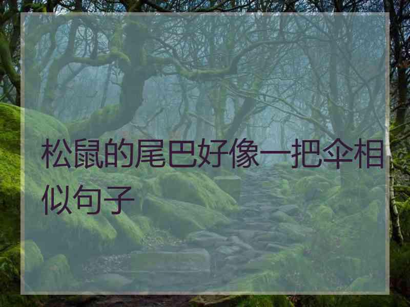 松鼠的尾巴好像一把伞相似句子