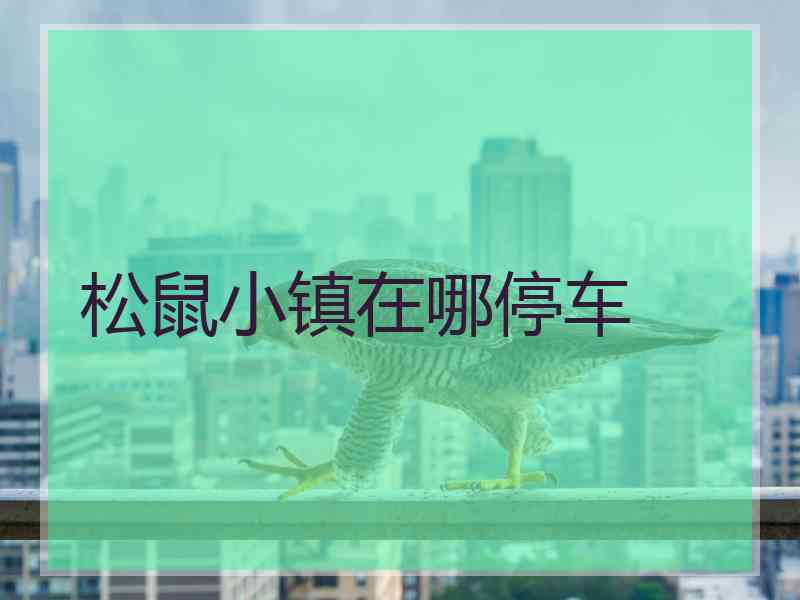松鼠小镇在哪停车