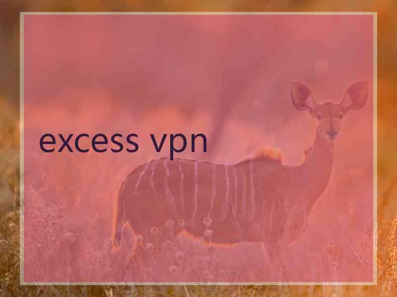 excess vpn