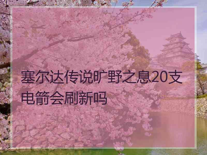 塞尔达传说旷野之息20支电箭会刷新吗