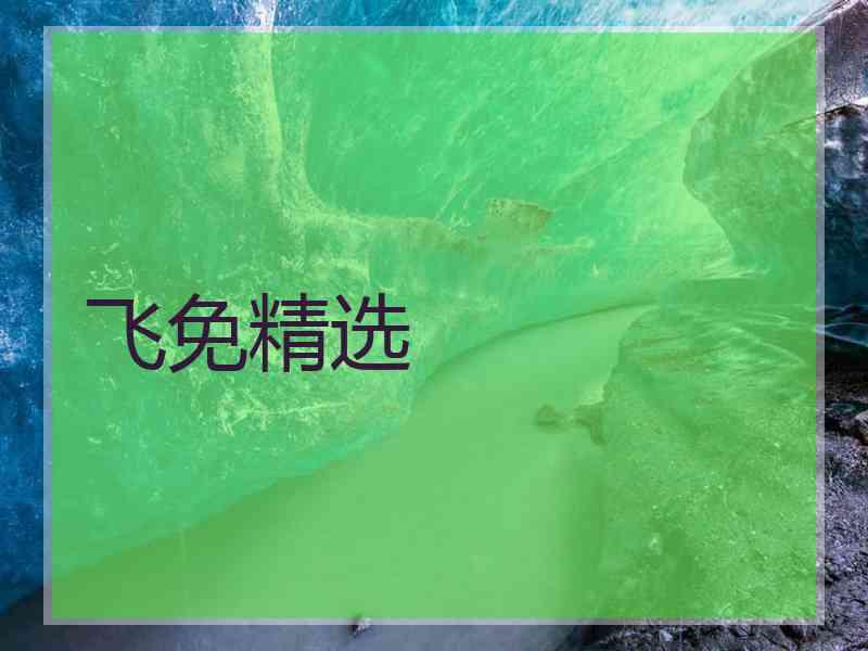 飞免精选