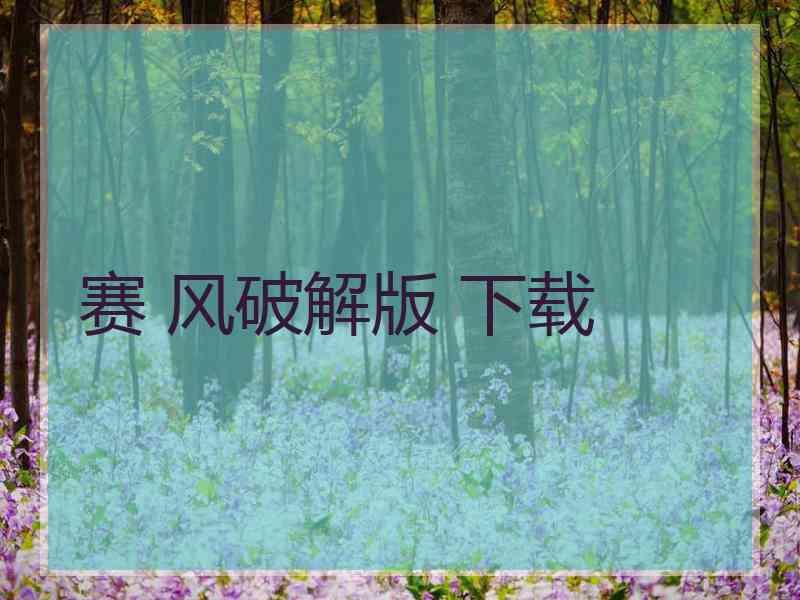 赛 风破解版 下载