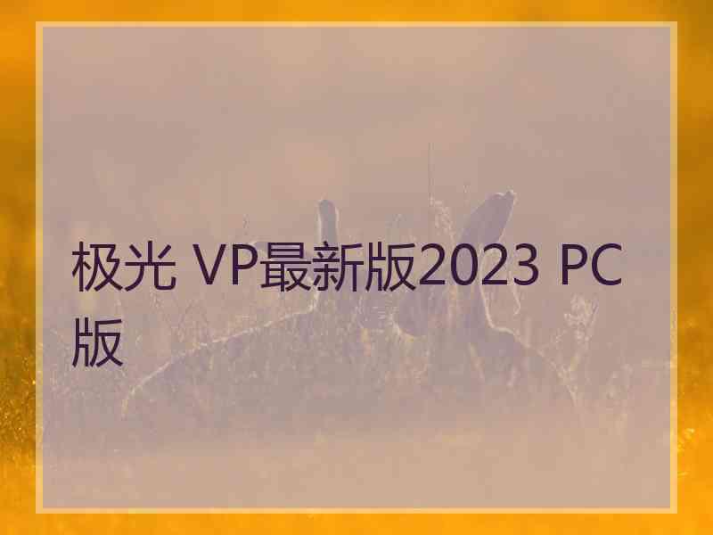 极光 VP最新版2023 PC版