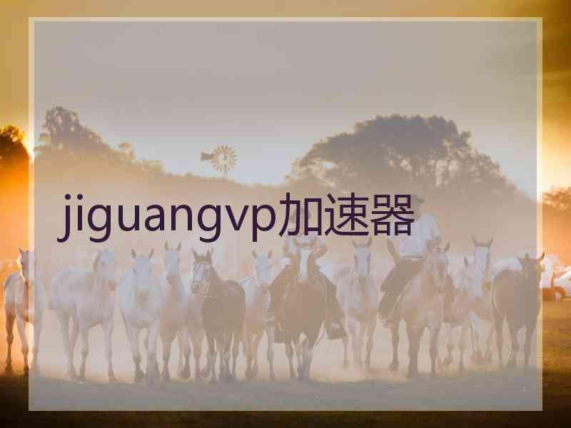 jiguangvp加速器