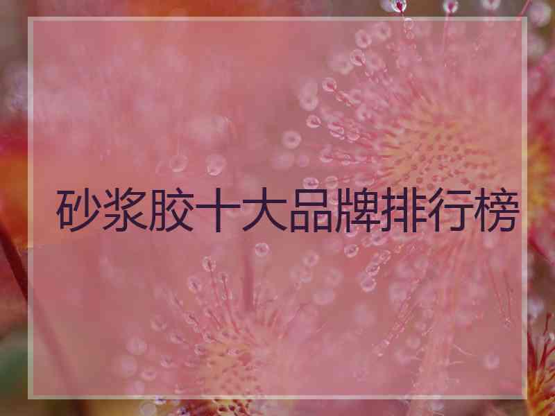 砂浆胶十大品牌排行榜