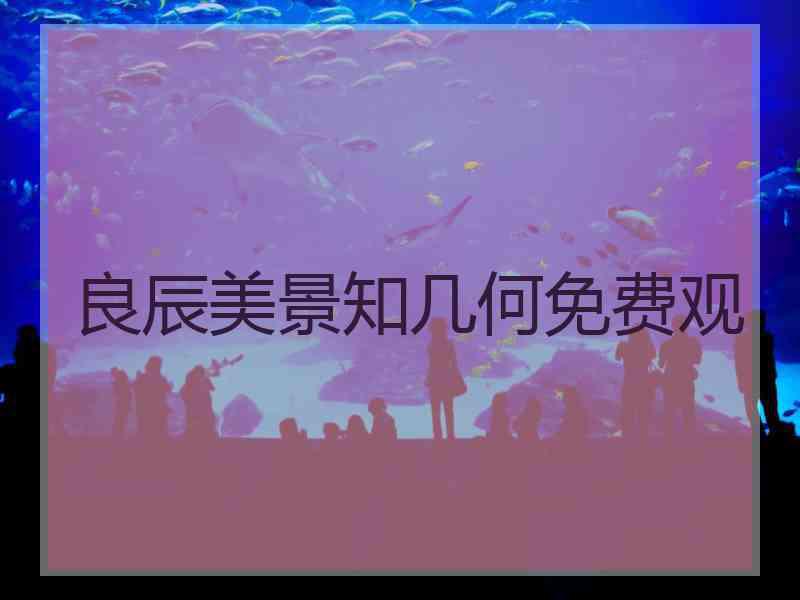 良辰美景知几何免费观