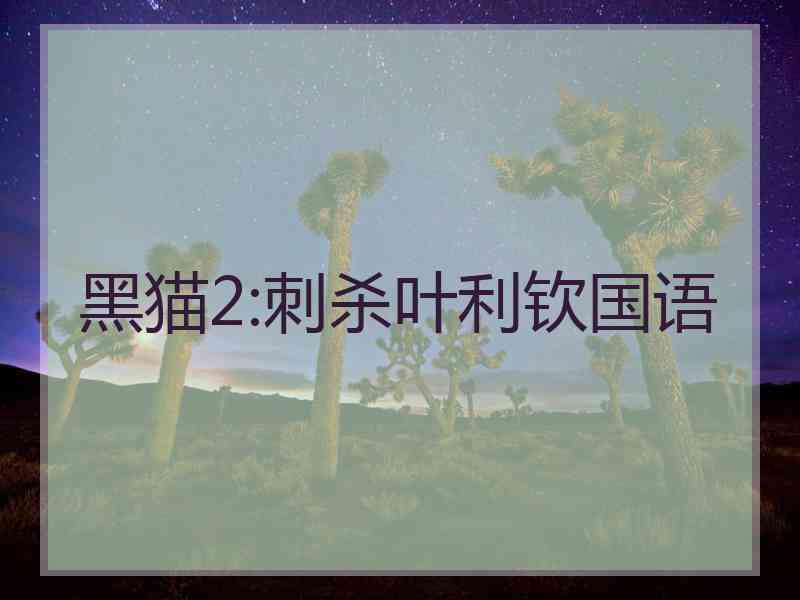 黑猫2:刺杀叶利钦国语