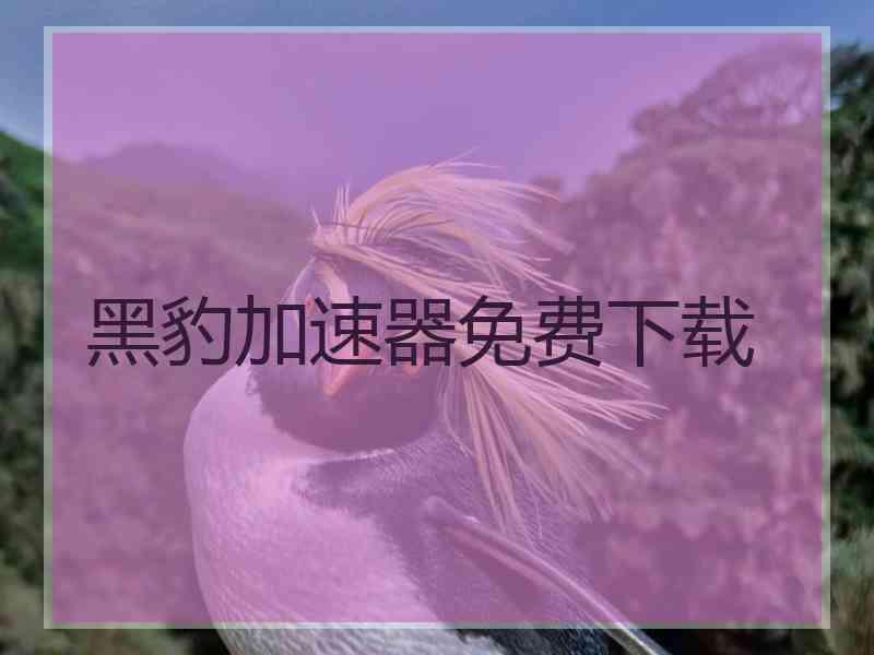 黑豹加速器免费下载