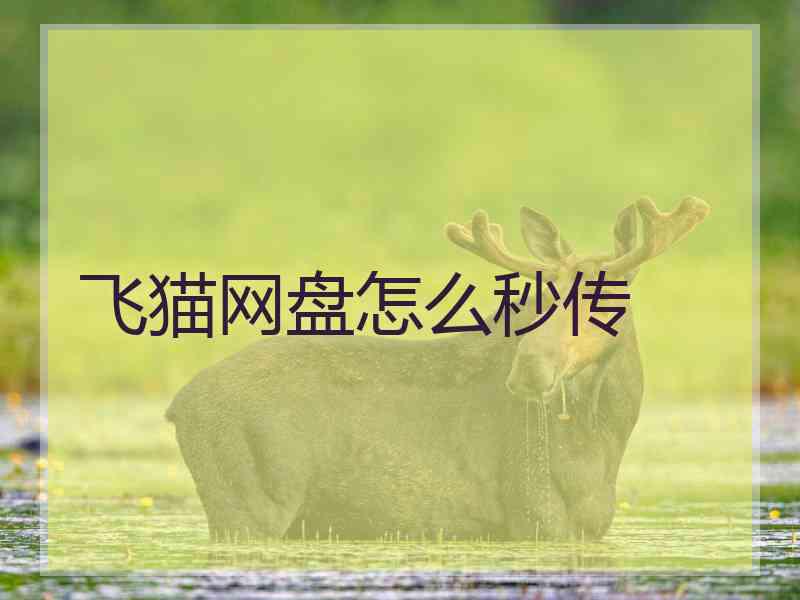 飞猫网盘怎么秒传
