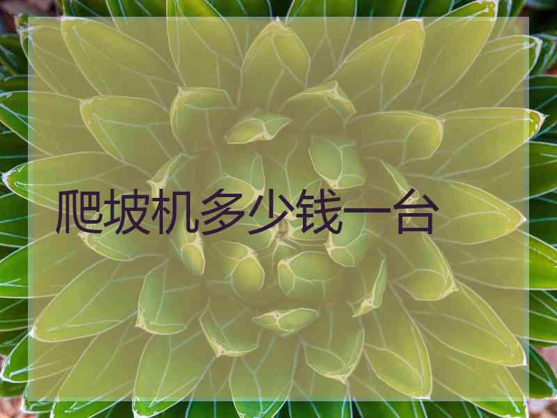 爬坡机多少钱一台
