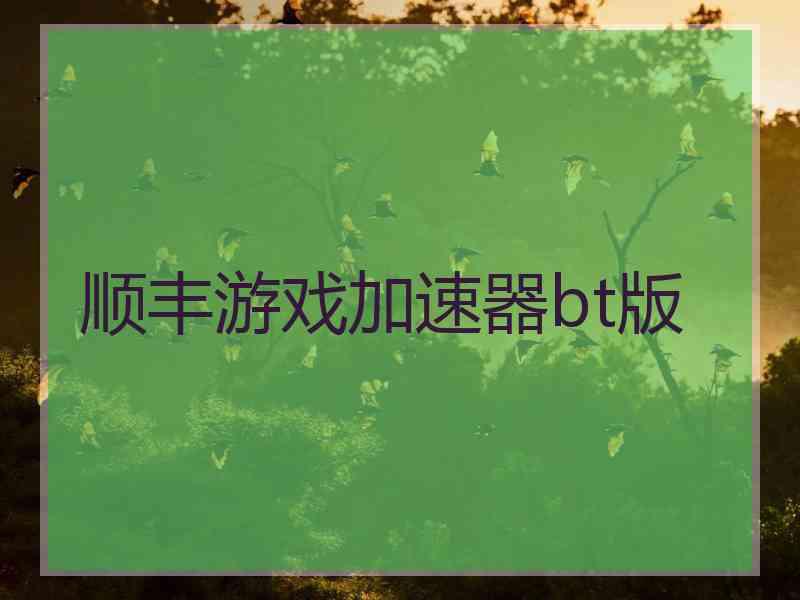 顺丰游戏加速器bt版