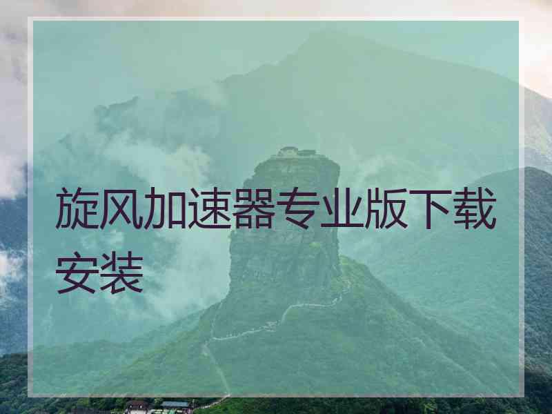 旋风加速器专业版下载安装