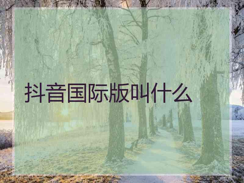 抖音国际版叫什么