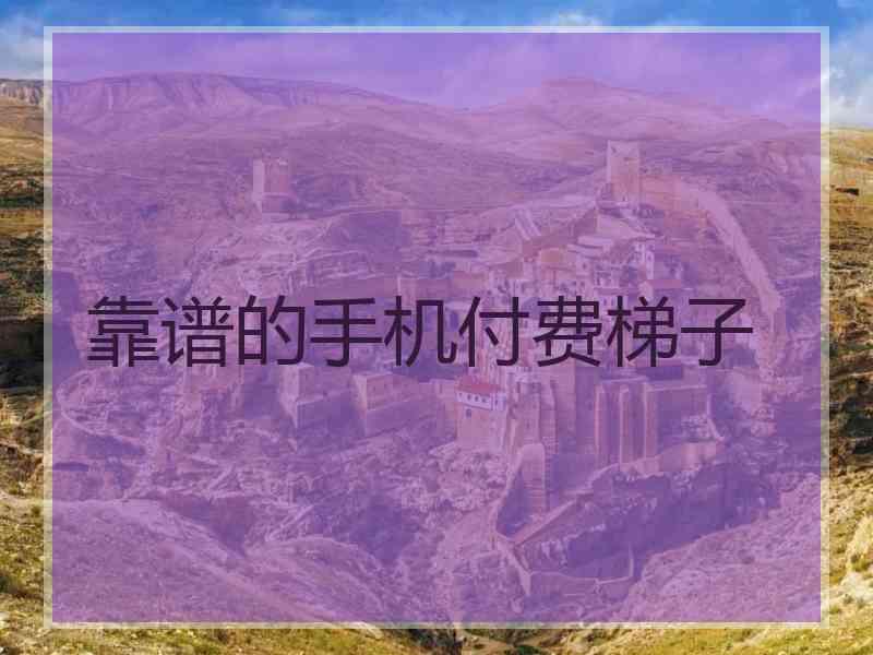 靠谱的手机付费梯子