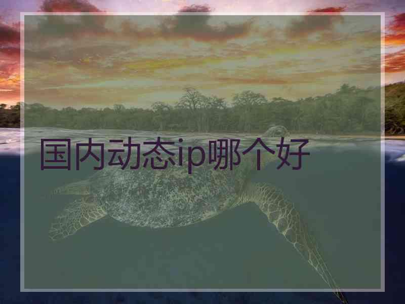 国内动态ip哪个好