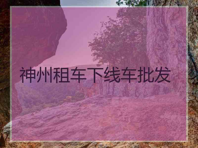 神州租车下线车批发
