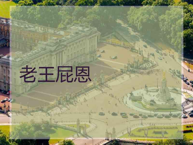 老王屁恩