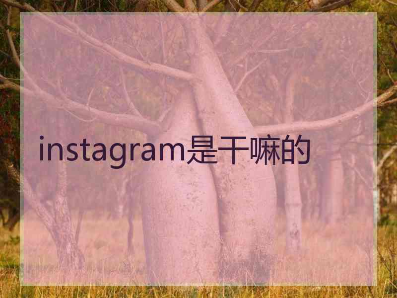 instagram是干嘛的