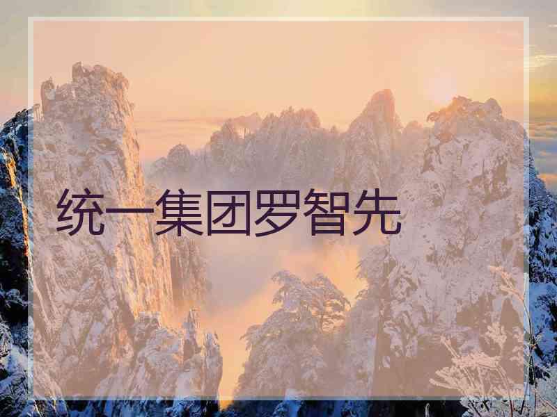 统一集团罗智先