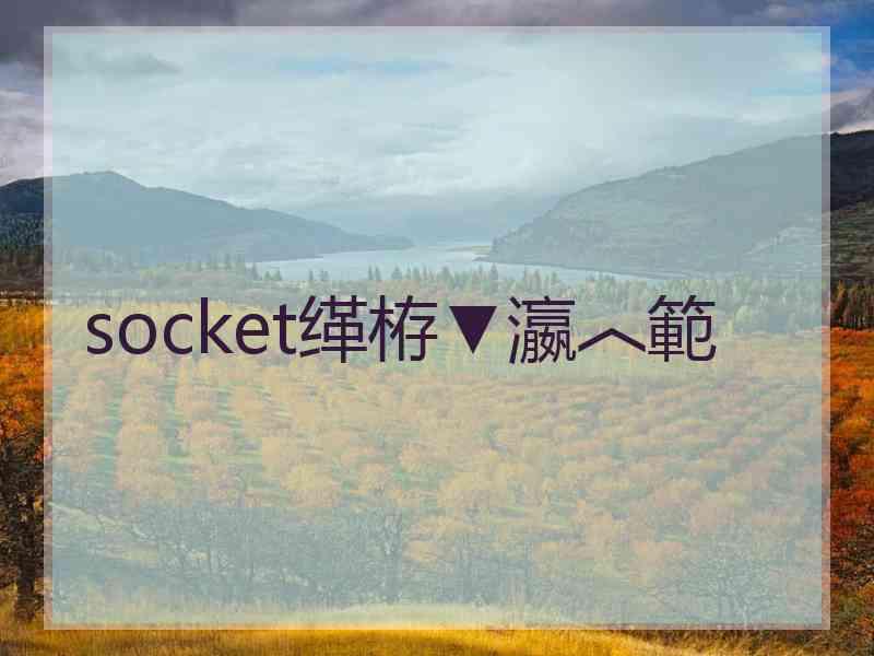 socket缂栫▼瀛︿範