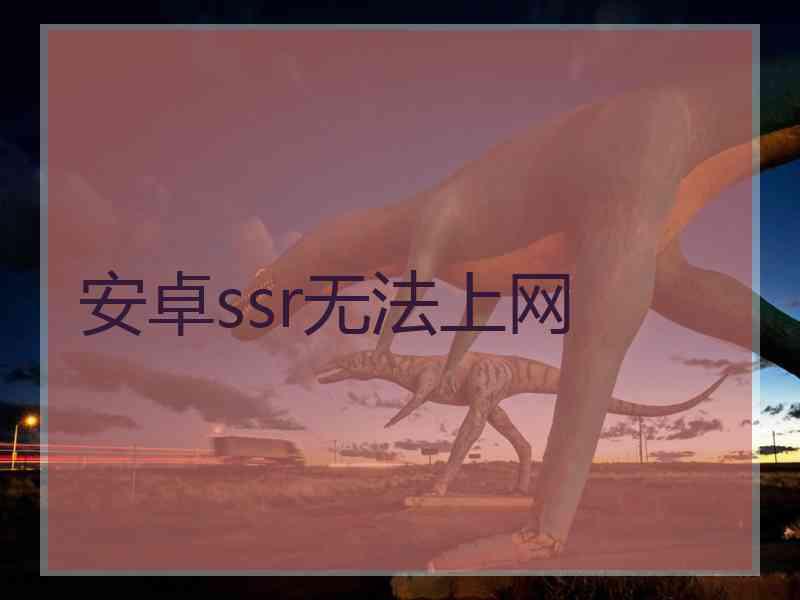 安卓ssr无法上网
