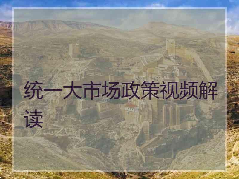 统一大市场政策视频解读