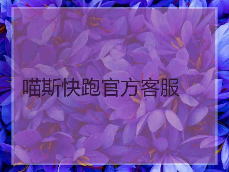 喵斯快跑官方客服