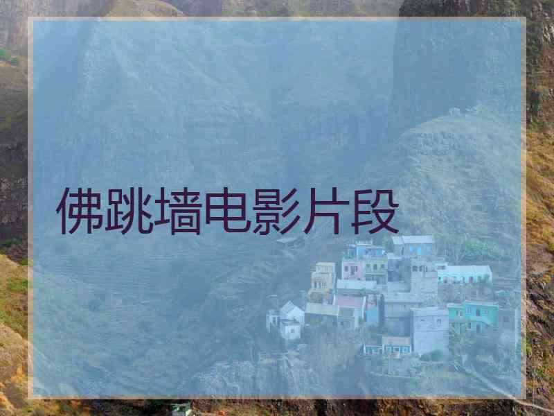 佛跳墙电影片段