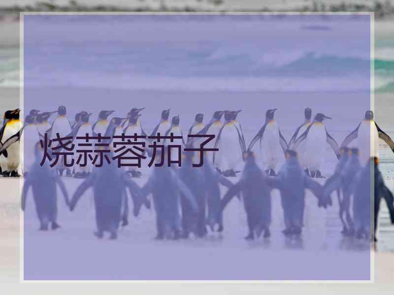 烧蒜蓉茄子