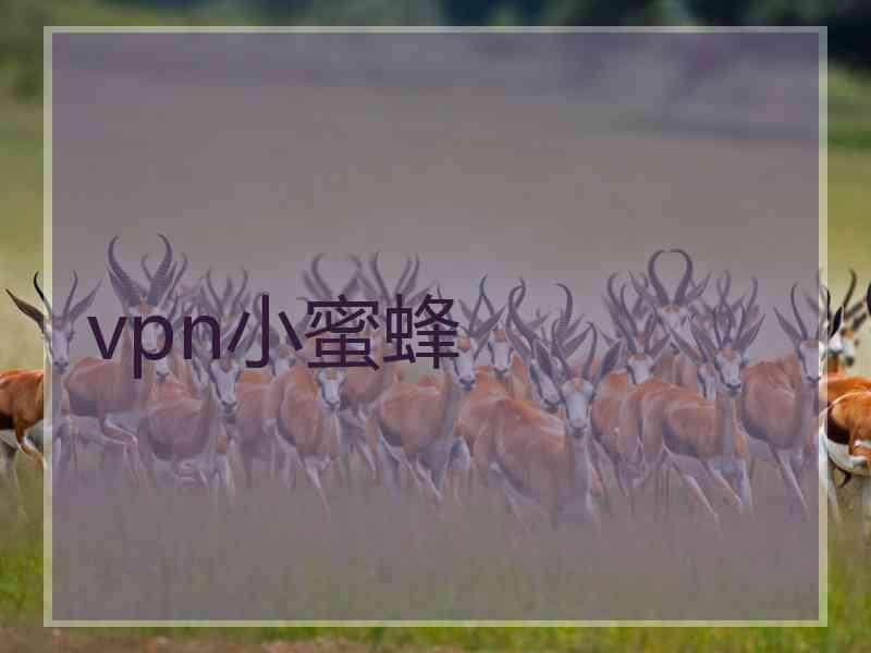 vpn小蜜蜂