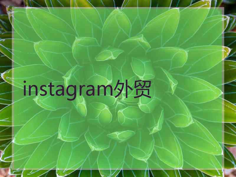 instagram外贸