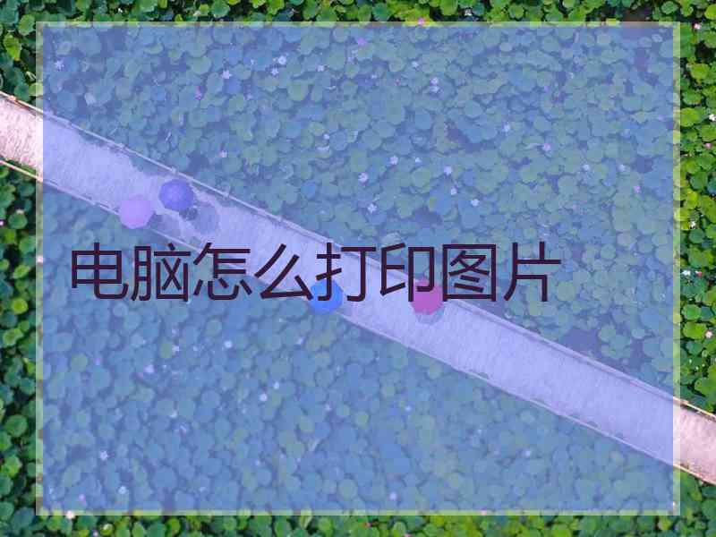 电脑怎么打印图片